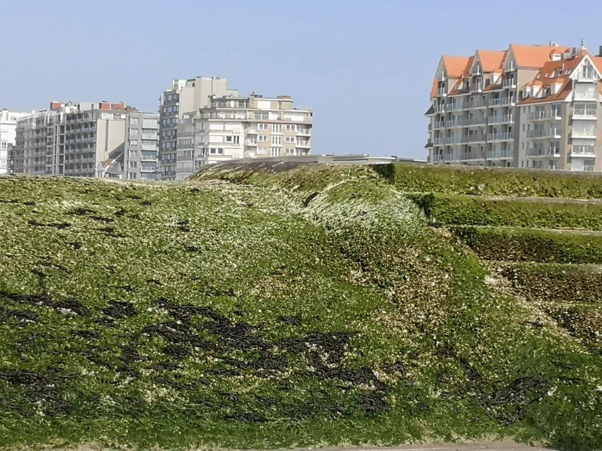 Westeinders Sea View Middelkerke Eksteriør bilde