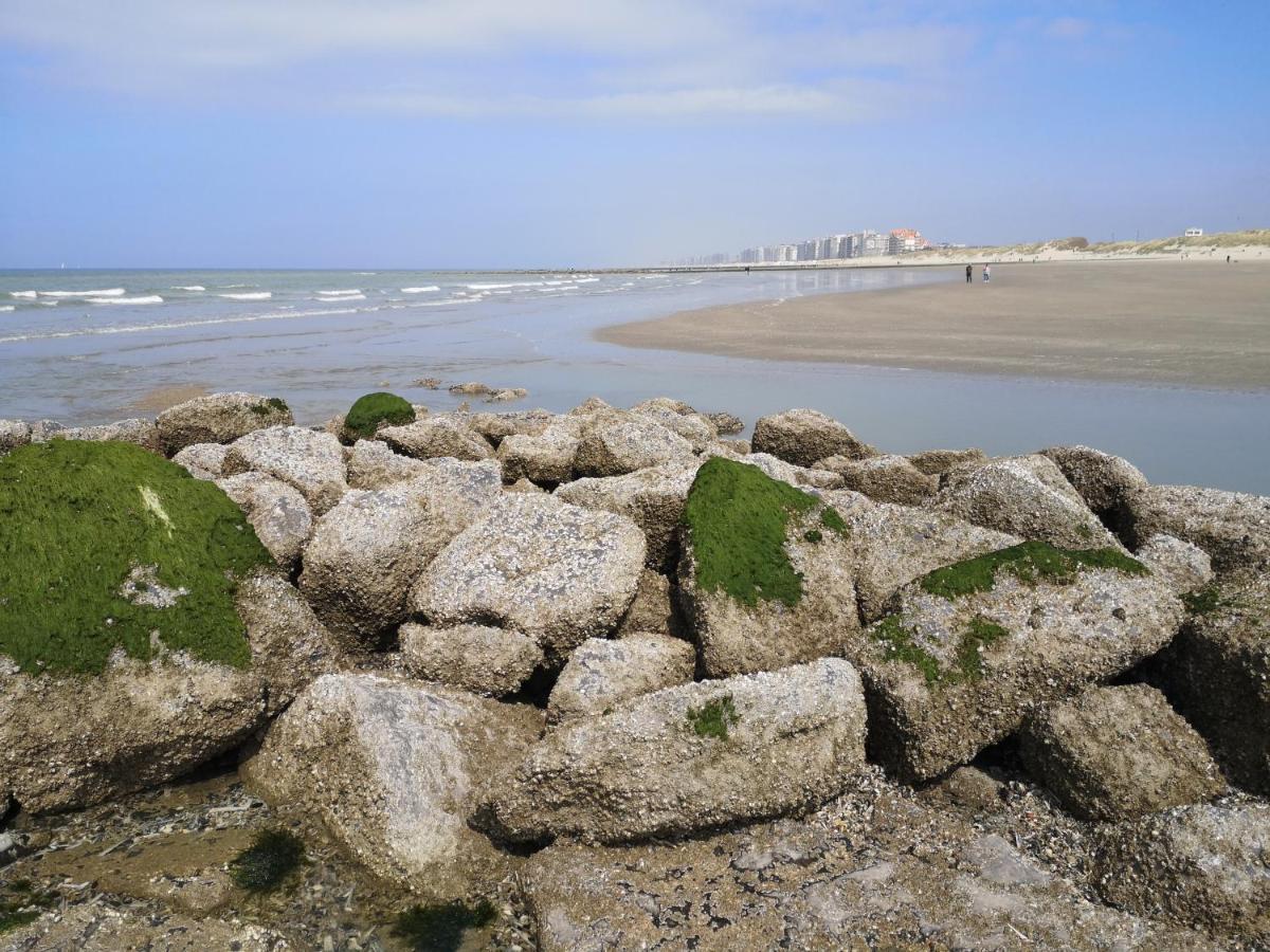 Westeinders Sea View Middelkerke Eksteriør bilde